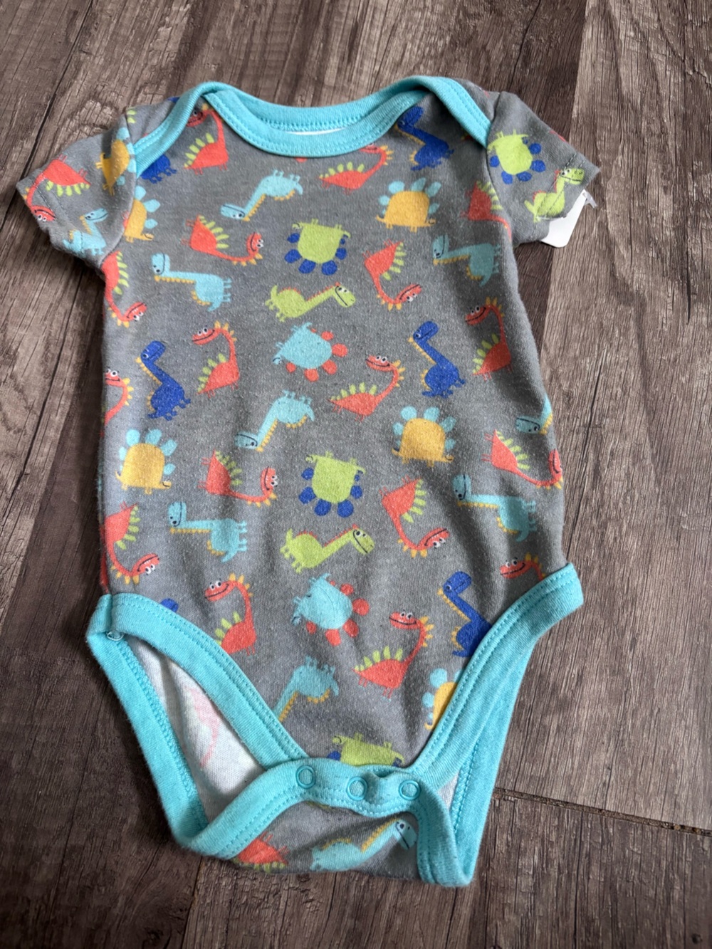 Kidgets Gray Onesie with Teal Trim and Colorful Dinosaur Print. 210